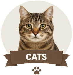 cats