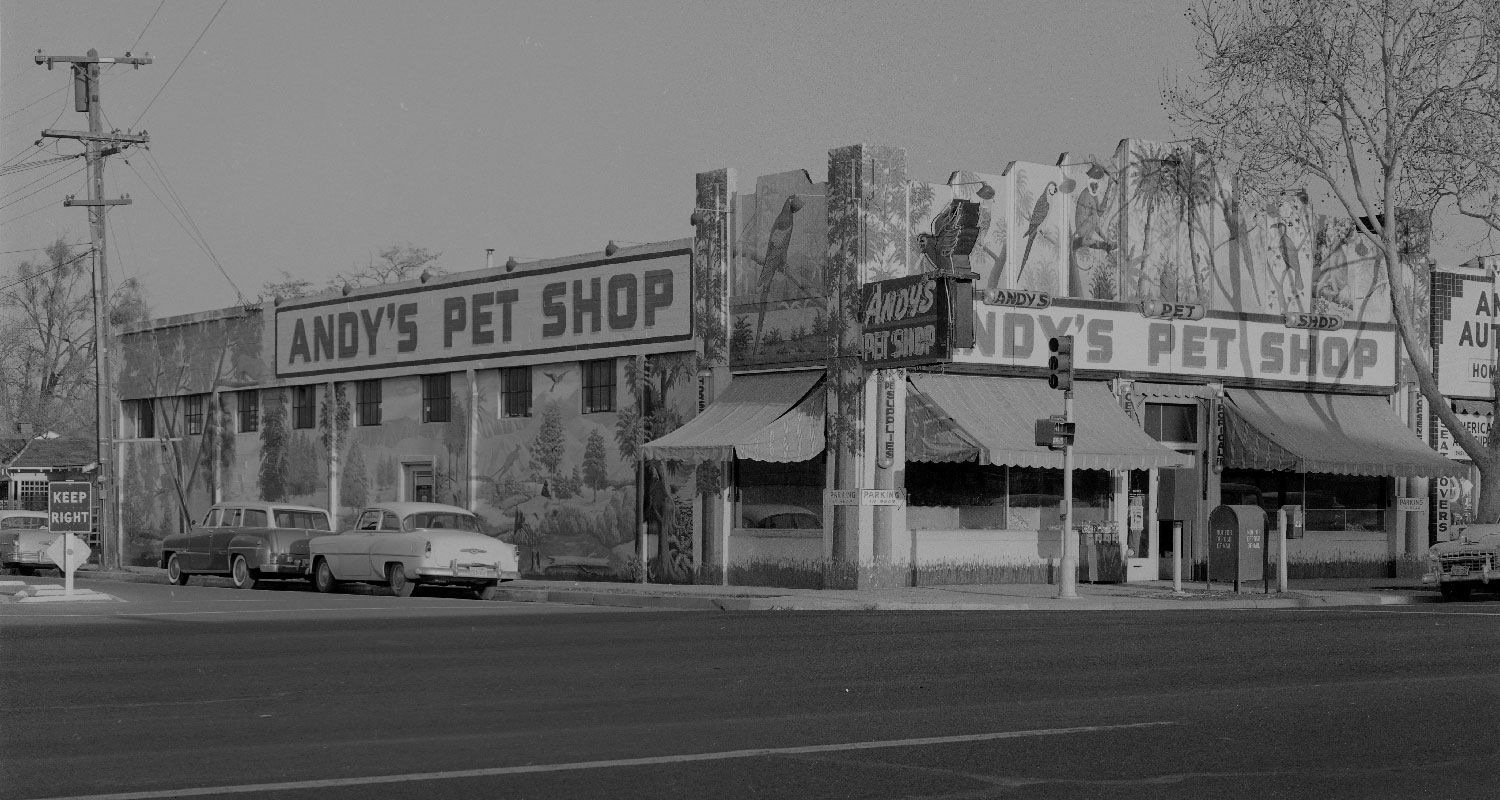 Andy's Pet Shop