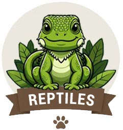 reptiles
