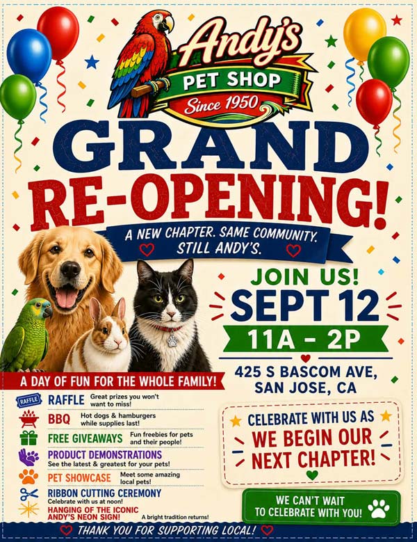 flyer1